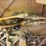 komatsu-wa500-1le-image-66