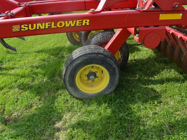 sunflower-4213-image-5