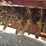 #1919-•-toro-39519-stand-on-aerator-image-26