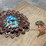 #4072-•-kinetic-metal-hummingbird-wind-spinner-(cw)-image-3