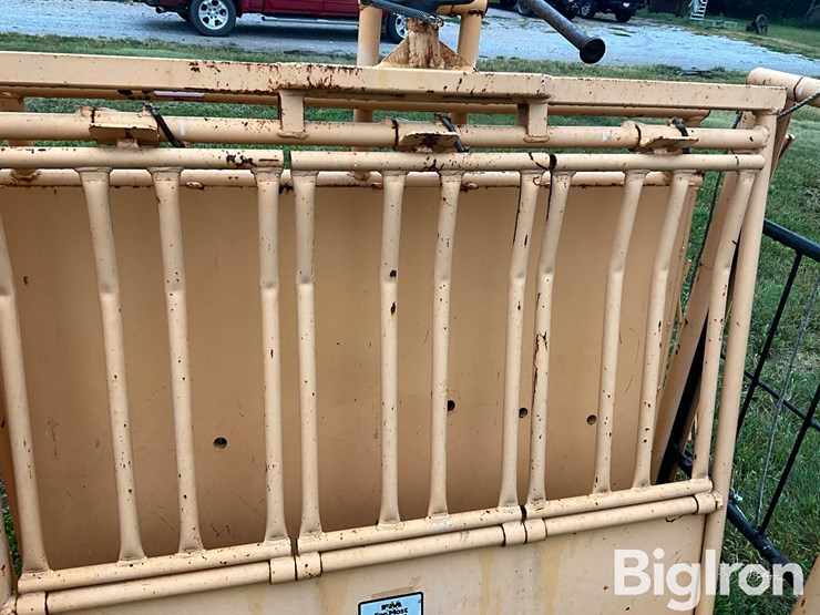 for-most-calf-working-chute-image-11