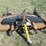 #50131-•-6'-finish-mower-inv#50131-image-6