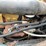 2004-freightliner-fl70-image-22