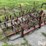 ford-228-spring-tooth-harrow-image-3
