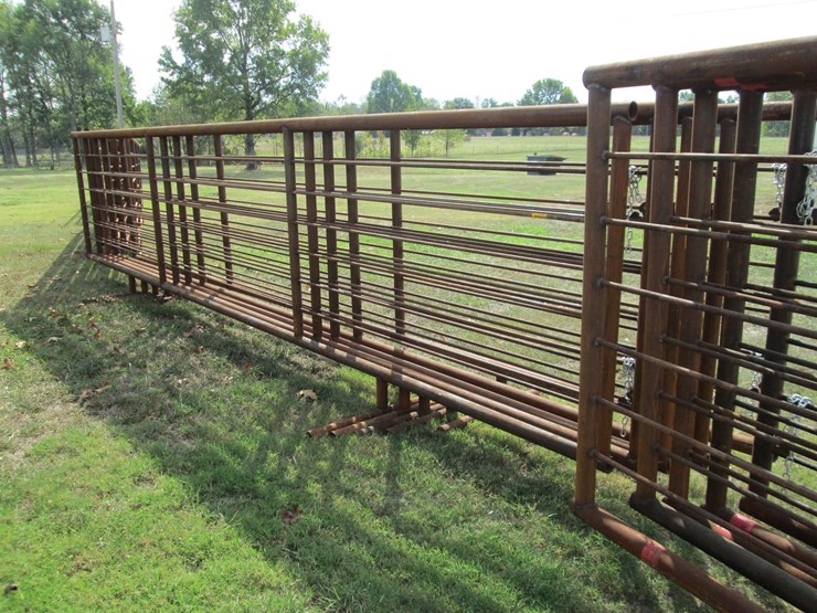 #44942-•-lot-of-(5)-24'-cattle-panels-inv#44942-image-1