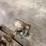 queen-city-14-b-grinder-image-9