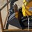 2026-zjz-zjz-380-skid-steer-loader-image-5