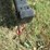 #46121-•-unused-ce-tb47-fork-lift-boom-pole-sx-ccssdb251228-inv#46121-image-4