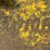 #2508-•-2015-atlas-copco-hb-4700-hydraulic-breaker-image-9