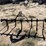 3-pt-cultivator-image-2