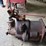 allis-chalmers-hd5-image-100