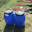 #50151-•-lot-of-(2)-jugs-w/lids-inv#50151-image-2