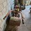 #8768-•-rear-tine-garden-tiller-image-4