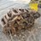 #2935-•-forestry-track-approx-30"-width-image-3