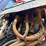 2020-volvo-a45g-image-38