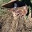 rhino-3-pt-post-hole-digger-image-16