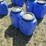 #50155-•-lot-of-(2)-jugs-w/lids-inv#50155-image-1