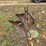 #25270-•-ferguson-2-bottom-plow-image-8