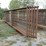 #46126-•-lot-of-(5)-24'-cattle-panels-inv#46126-image-2