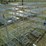 #50181-•-2'x1'x55"-5-unit-rolling-metal-shelf-inv#50181-image-1