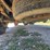 2003-chevrolet-suburban-image-64