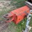 grain-cart-image-11