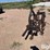 3-pt-cultivator-image-8
