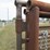 #44945-•-lot-of-(5)-24'-cattle-panels-inv#44945-image-4