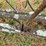 new-idea-401-image-34