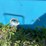 #1636-•-behlen-8'-ploy-stock-tank-image-5