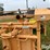 for-most-calf-working-chute-image-10