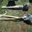 #50163-•-lot-of-(3)-unused-valley-wood-handle-point-shovels-inv#50163-image-2