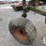 international-735-image-7