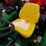 john-deere-5055e-image-10