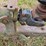 john-deere-14t-image-18