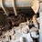 kubota-rtv900-image-19