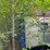 #3295-•-24'x56'-mobile-office-trailer-image-14