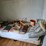 #8001-•-live-on-the-ground-house-hold-items-image-53