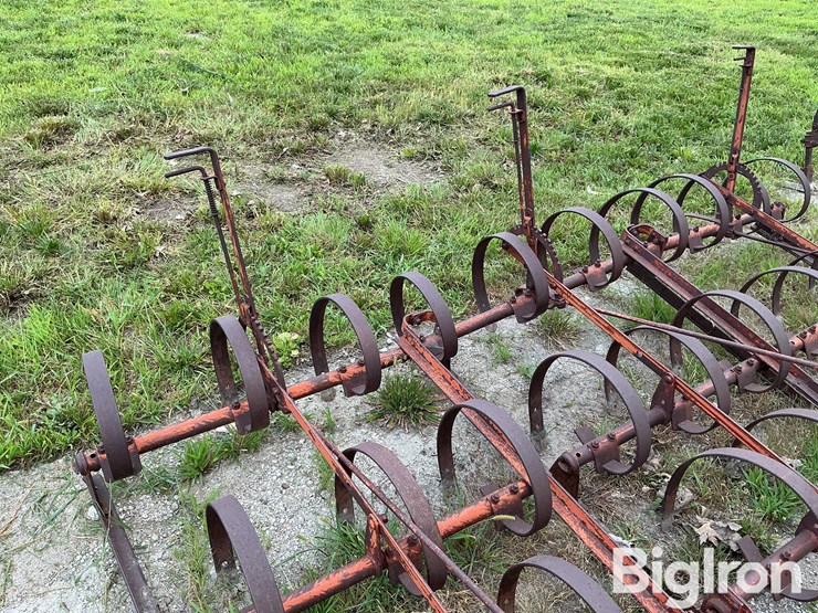 ford-228-spring-tooth-harrow-image-20