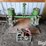 john-deere-71-image-2