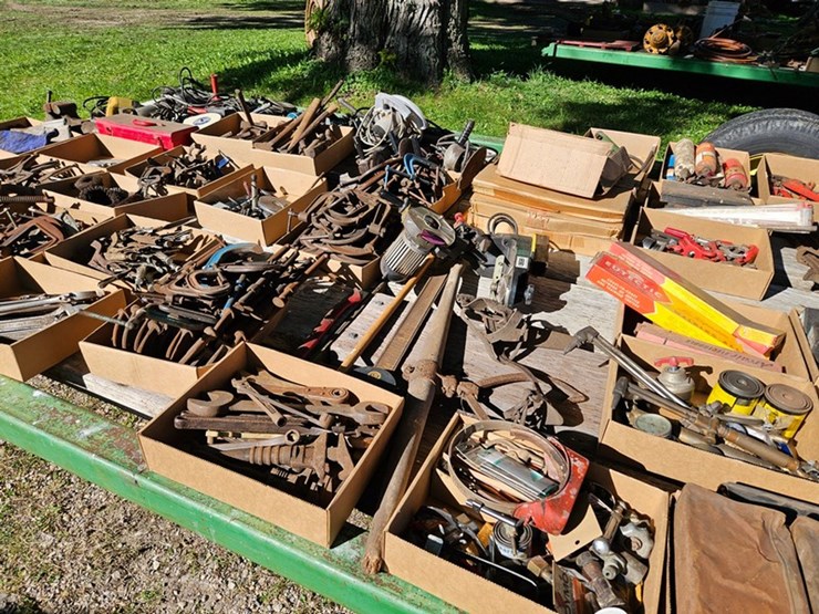 #8000-•-live-on-the-ground-only-items-image-61