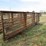 #44947-•-lot-of-(5)-24'-cattle-panels-inv#44947-image-3