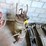 #8766-•-oil/grease-pumps-image-1