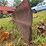 #25271-•-3-point-attachment-plow-image-18