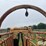 for-most-cattle-working-chute-image-18
