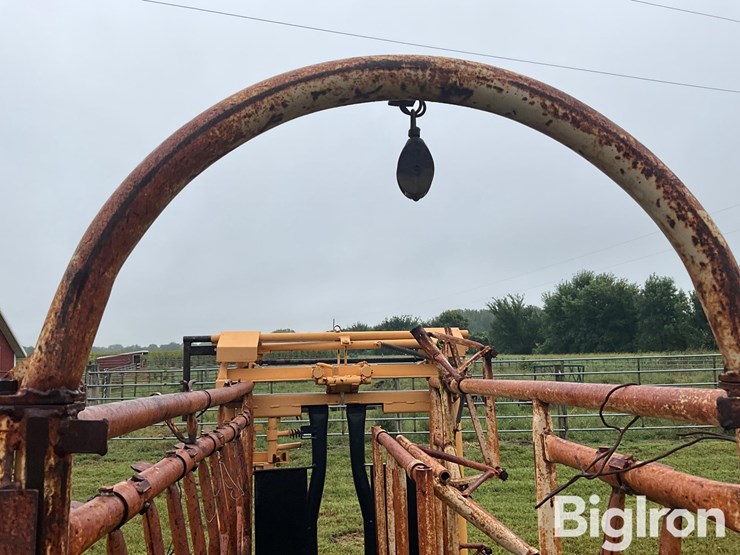 for-most-cattle-working-chute-image-18