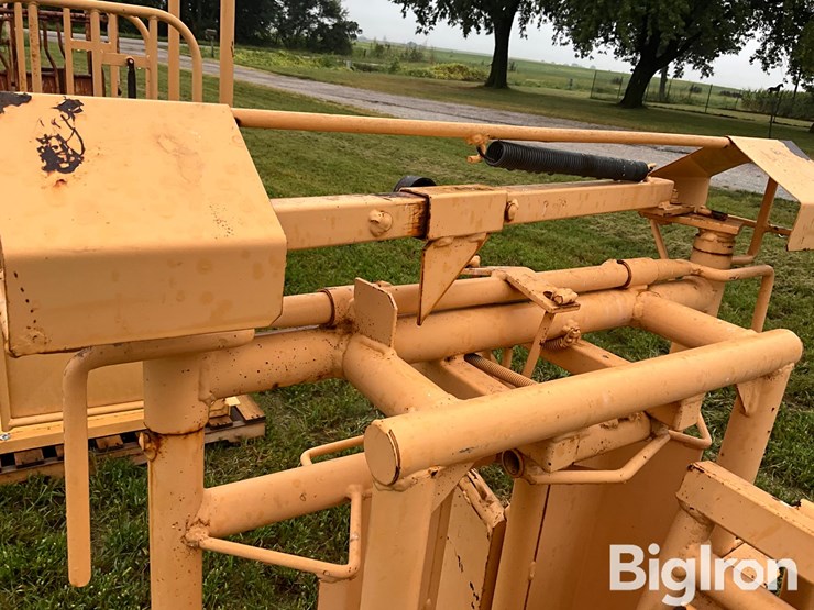 for-most-calf-working-chute-image-17