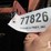 new-idea-509-image-6