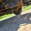 2003-ford-f350-image-41