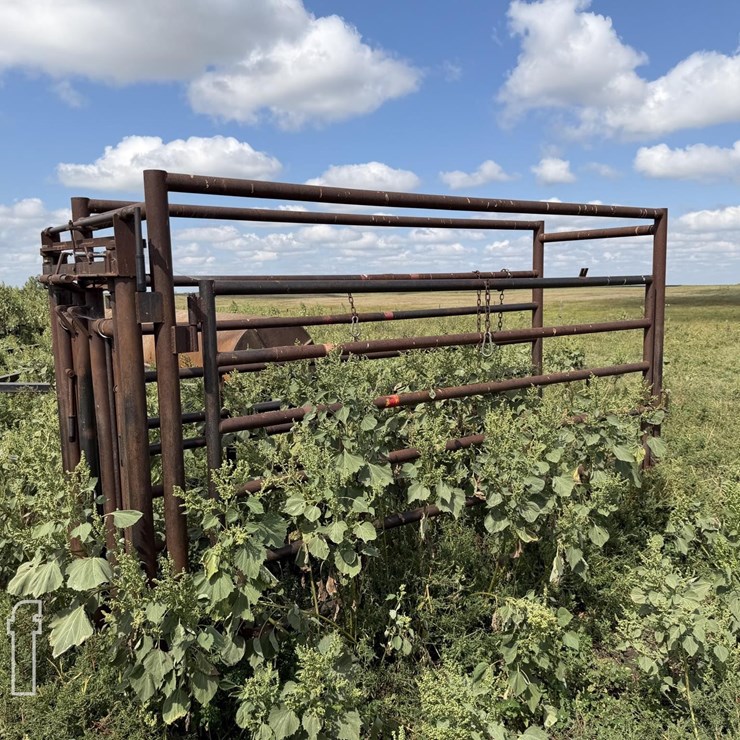 CATTLE CHUTE 8943
